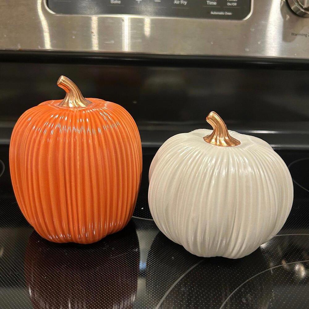Target Bullseye Playground Fall Orange & cream set of 2 Stoneware Pumpkins